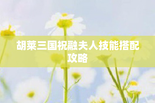 胡莱三国祝融夫人技能搭配攻略
