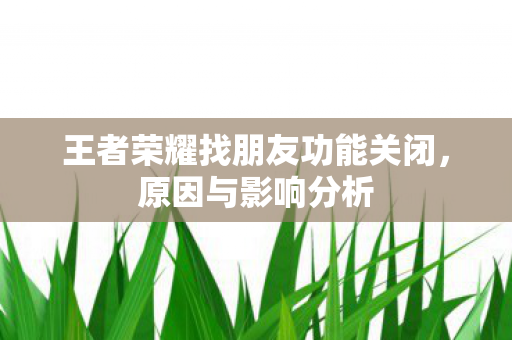 王者荣耀找朋友功能关闭，原因与影响分析