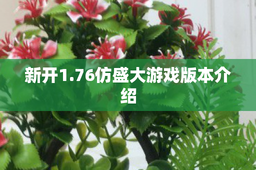 新开1.76仿盛大游戏版本介绍