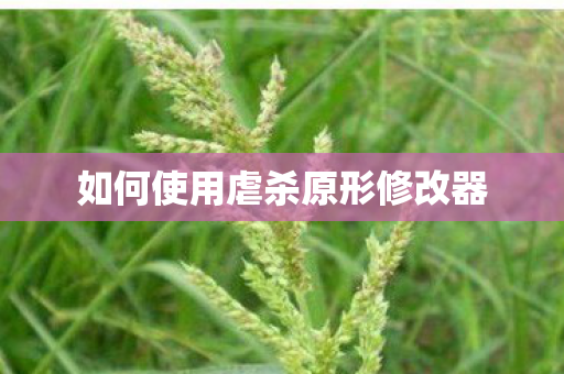 如何使用虐杀原形修改器