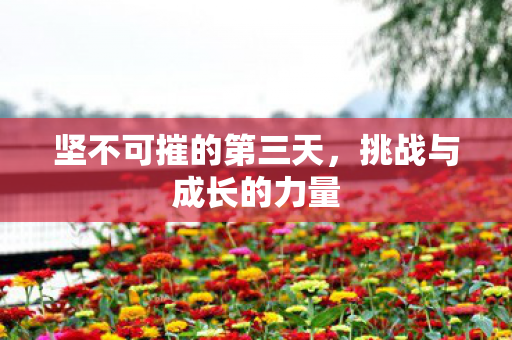 坚不可摧的第三天，挑战与成长的力量