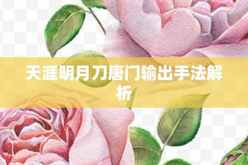 天涯明月刀唐门输出手法解析