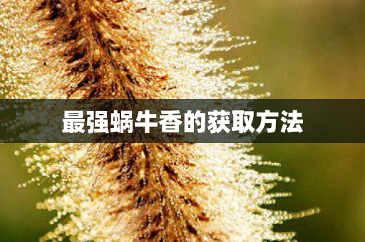 最强蜗牛香的获取方法
