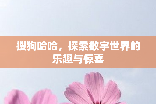 搜狗哈哈，探索数字世界的乐趣与惊喜