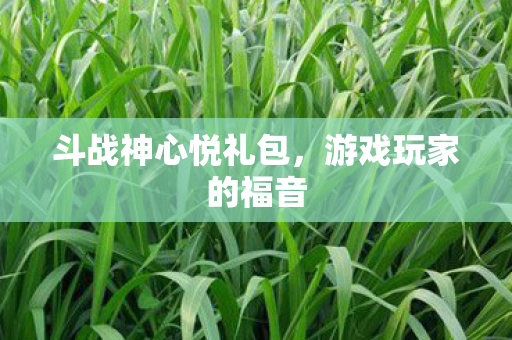 斗战神心悦礼包，游戏玩家的福音