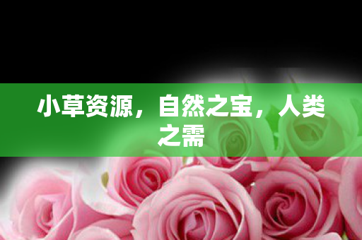 小草资源，自然之宝，人类之需
