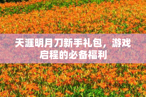 天涯明月刀新手礼包，游戏启程的必备福利