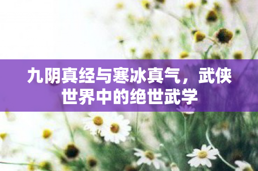 九阴真经与寒冰真气，武侠世界中的绝世武学