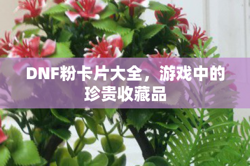 DNF粉卡片大全，游戏中的珍贵收藏品