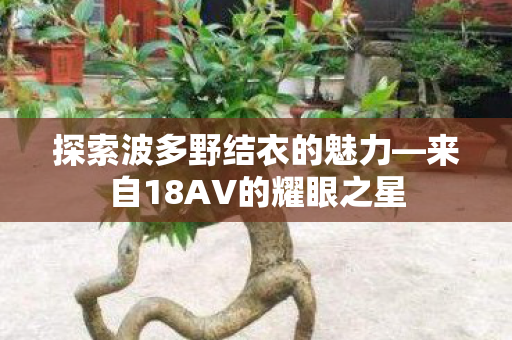 探索波多野结衣的魅力—来自18AV的耀眼之星