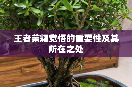 王者荣耀觉悟的重要性及其所在之处