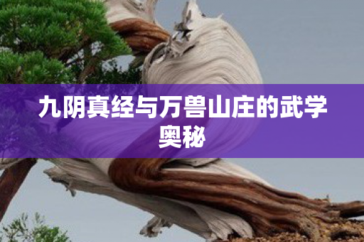 九阴真经与万兽山庄的武学奥秘