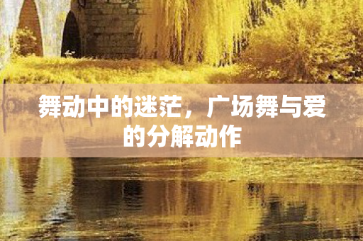 舞动中的迷茫，广场舞与爱的分解动作