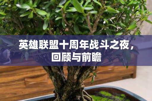 英雄联盟十周年战斗之夜，回顾与前瞻