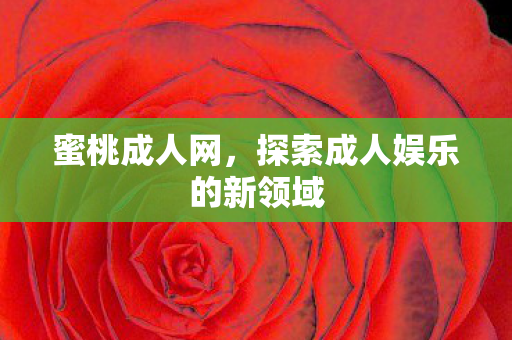 蜜桃成人网，探索成人娱乐的新领域