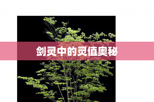 剑灵中的灵值奥秘