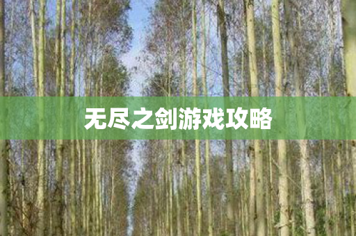 无尽之剑游戏攻略