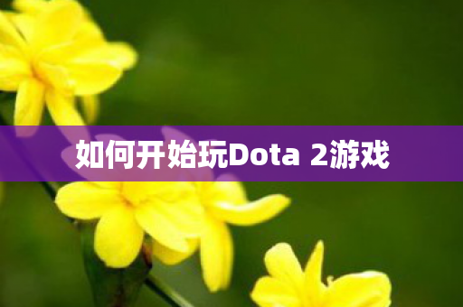如何开始玩Dota 2游戏