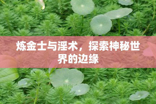 炼金士与淫术，探索神秘世界的边缘