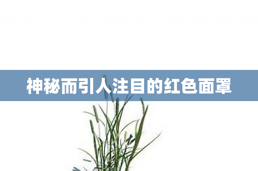 神秘而引人注目的红色面罩