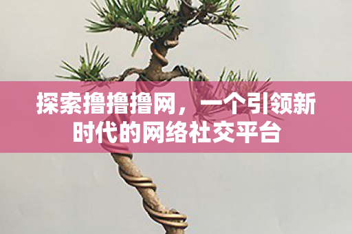 探索撸撸撸网，一个引领新时代的网络社交平台