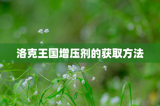 洛克王国增压剂的获取方法