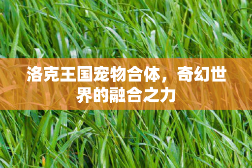 洛克王国宠物合体，奇幻世界的融合之力