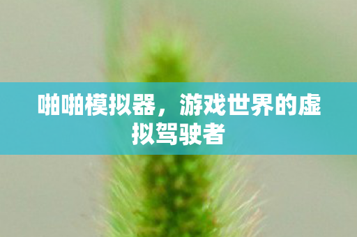 啪啪模拟器，游戏世界的虚拟驾驶者