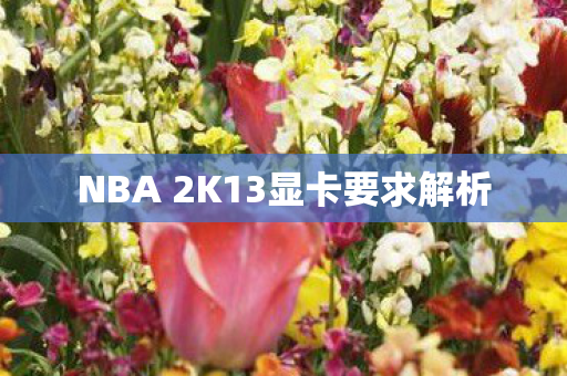 NBA 2K13显卡要求解析