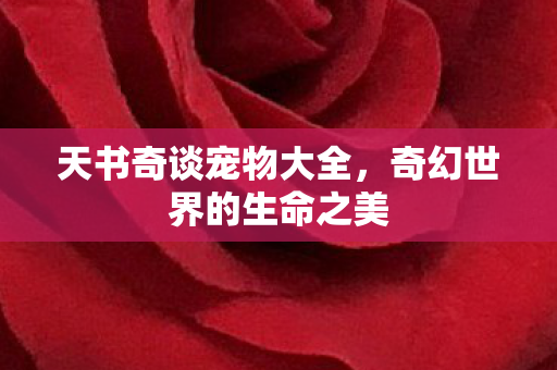 天书奇谈宠物大全，奇幻世界的生命之美