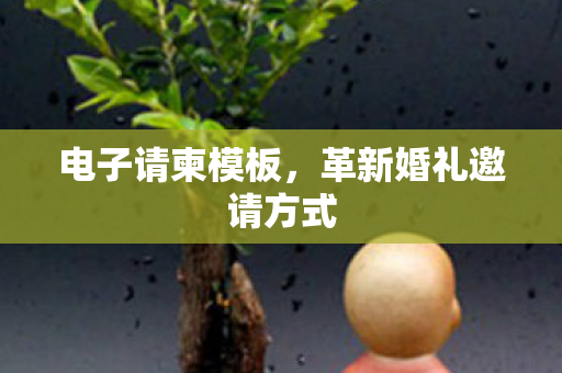 电子请柬模板，革新婚礼邀请方式