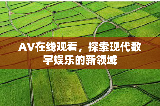 AV在线观看,探索现代数字娱乐的新领域 AV在线观看,探索现代数字娱乐的新领域