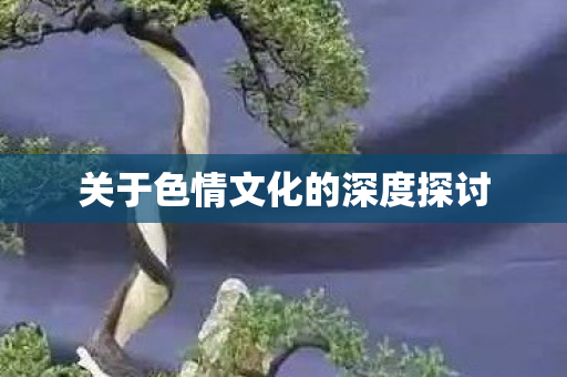 关于色情文化的深度探讨