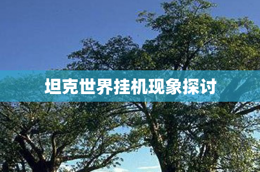 坦克世界挂机现象探讨