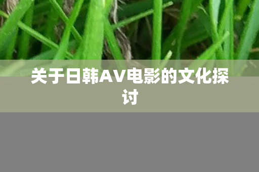 关于日韩AV电影的文化探讨