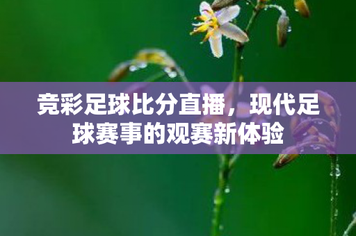竞彩足球比分直播，现代足球赛事的观赛新体验