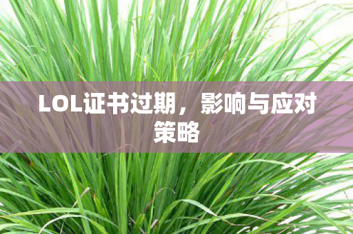LOL证书过期，影响与应对策略