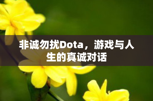 非诚勿扰Dota，游戏与人生的真诚对话