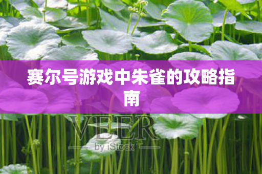 赛尔号游戏中朱雀的攻略指南