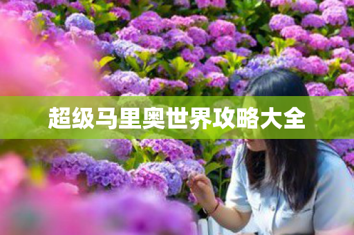 超级马里奥世界攻略大全