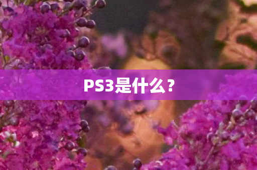 PS3是什么？
