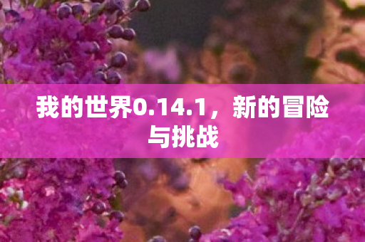 我的世界0.14.1，新的冒险与挑战