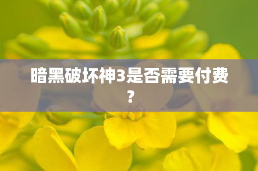 暗黑破坏神3是否需要付费？