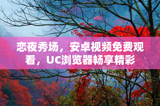 恋夜秀场，安卓视频免费观看，UC浏览器畅享精彩