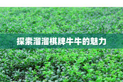 探索溜溜棋牌牛牛的魅力