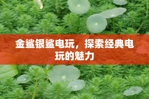金鲨银鲨电玩，探索经典电玩的魅力