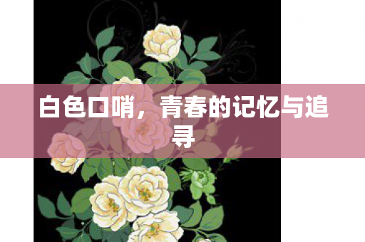 白色口哨,青春的记忆与追寻 白色口哨,青春的记忆与追寻