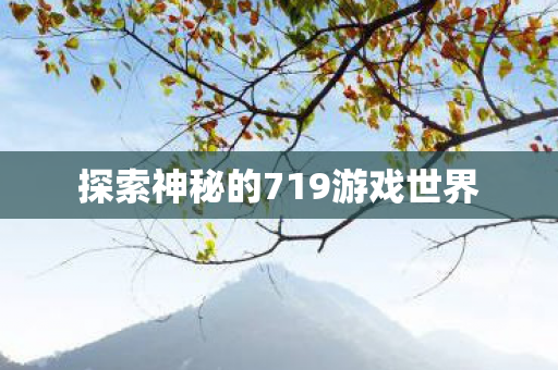 探索神秘的719游戏世界