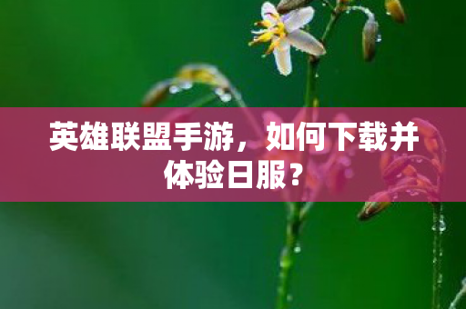 英雄联盟手游，如何下载并体验日服？