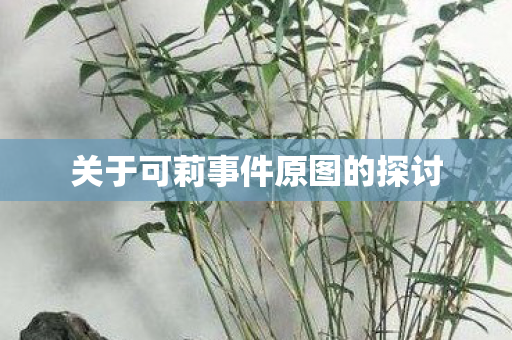 关于可莉事件原图的探讨